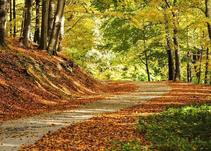 Daire Glorija Arandjelovac