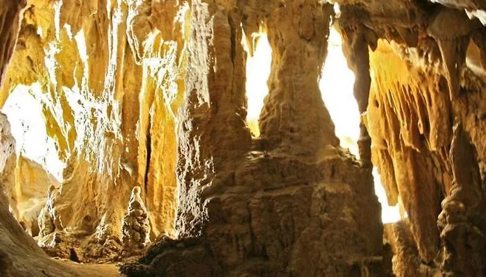 Glorija * Arandjelovac